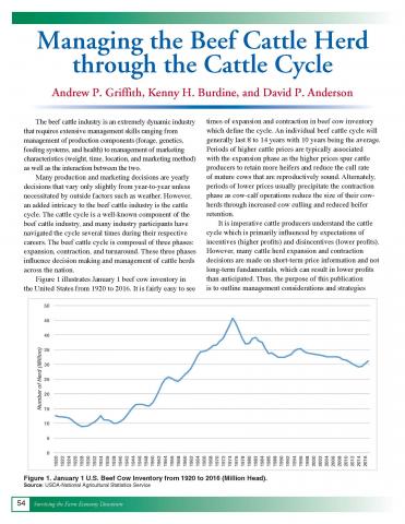 Managing the beef cattle herd through the cattle cycle